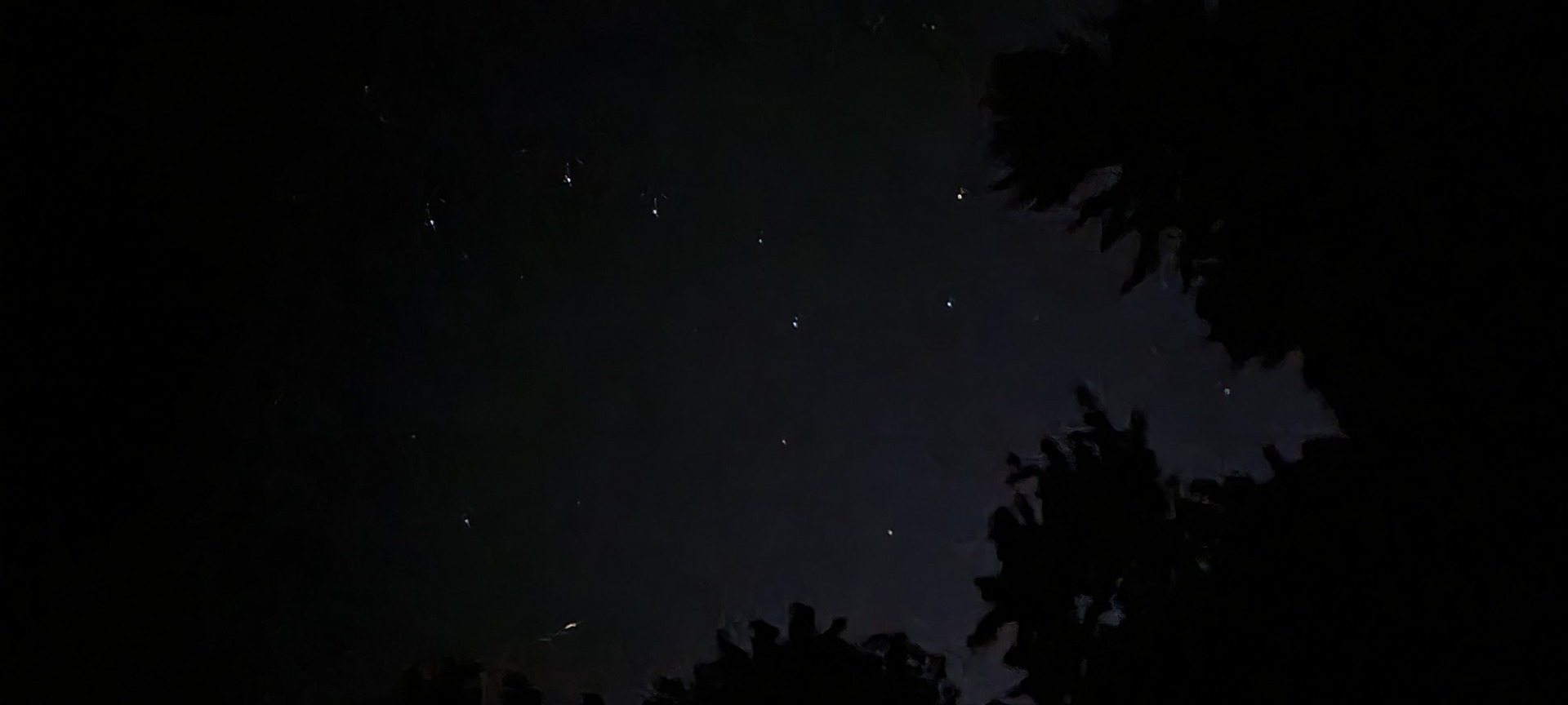 Bei Einbruch der Dämmerung, und beim Ruf der Eulen beginnt die Reise in eine ruhige Nacht.